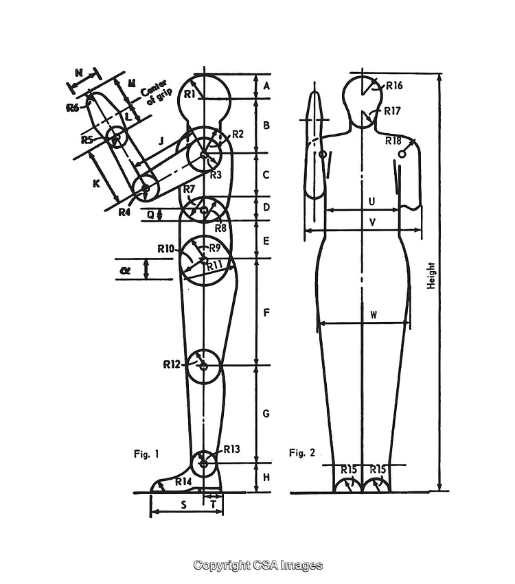 Detailed Black and White Diagrams of Human Body Measurements and Proportions