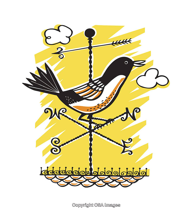 Colorful Weather Vane Illustration Featuring Bird Motif with Yellow Background