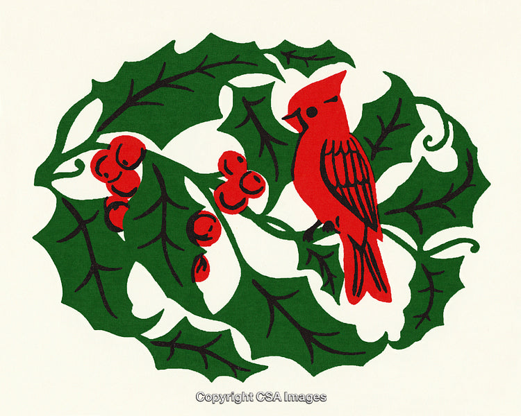Colorful Cardinal Perched on Holly with Bright Red Berries