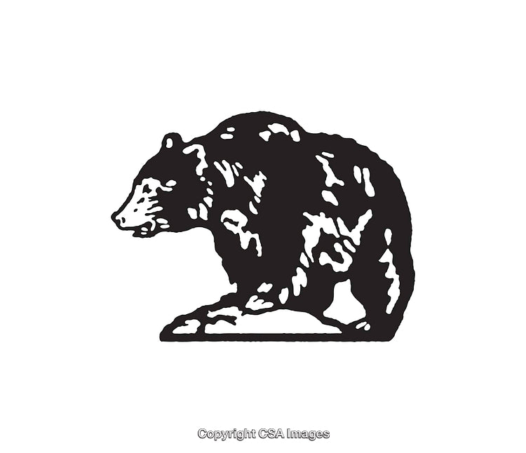 Black and White Line Art of a Bear Illustration
