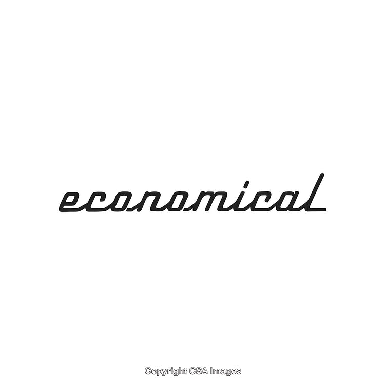 Minimal Handwritten Economical Typography Design on a Plain White Background