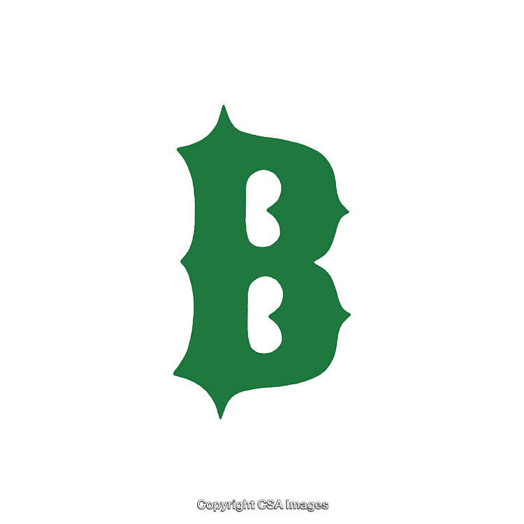 Green Decorative Letter B Symbol on White Background