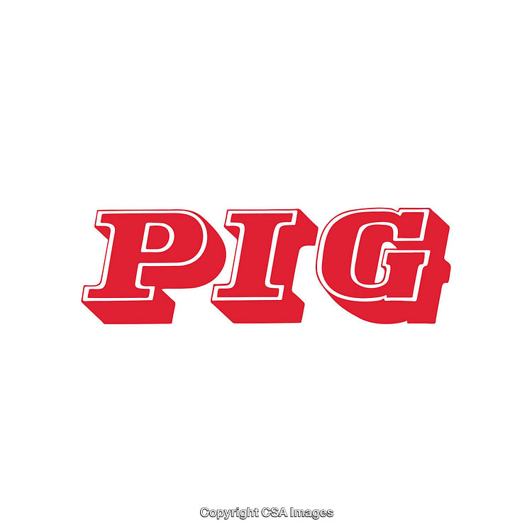 Bold Red Stylized Typeface Spelling Pig on White Background