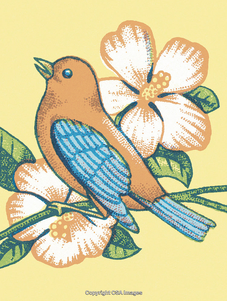 Bird and Blossoms