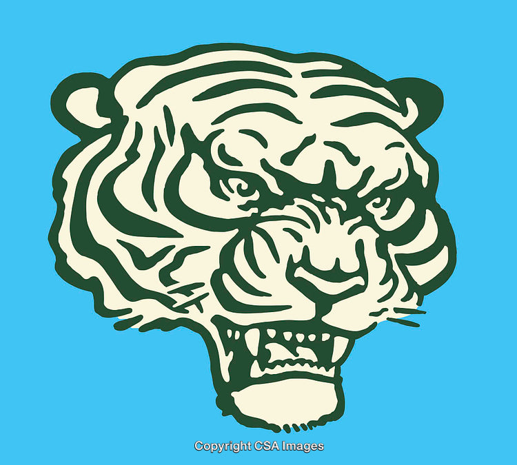 Bold Tiger Illustration in Dramatic Color Line Art Style on Blue Background