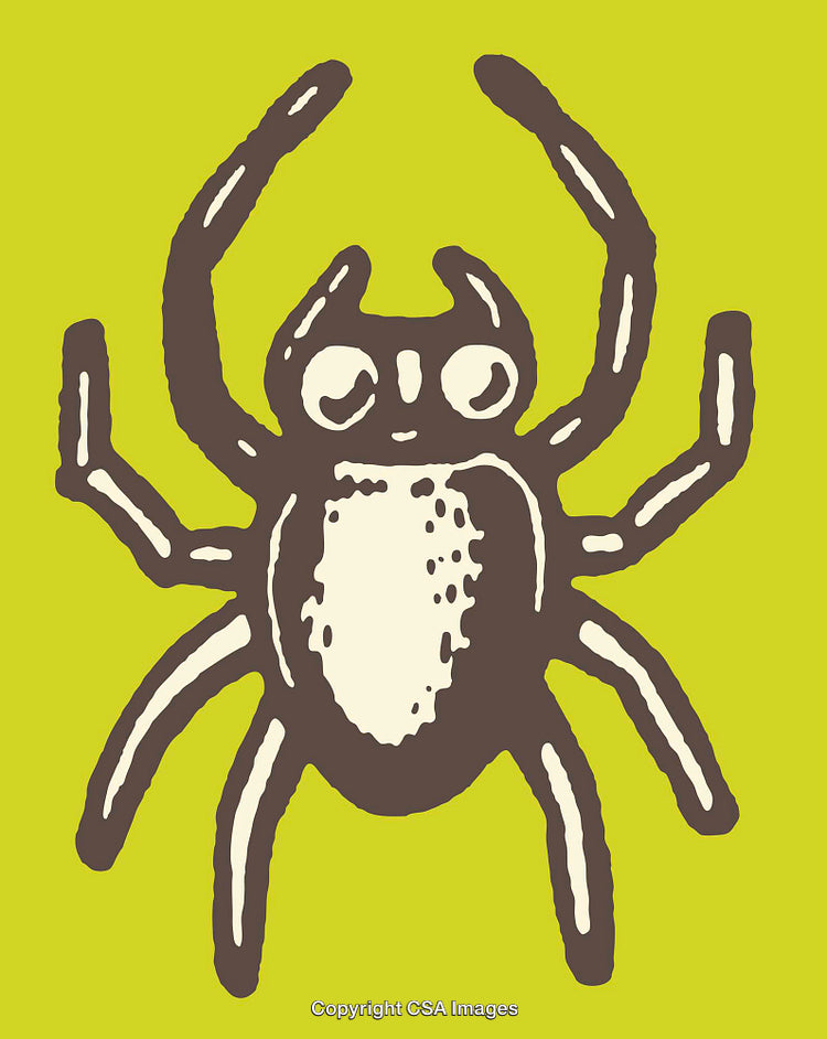Colorful Line Art Illustration of a Spider on a Bright Background