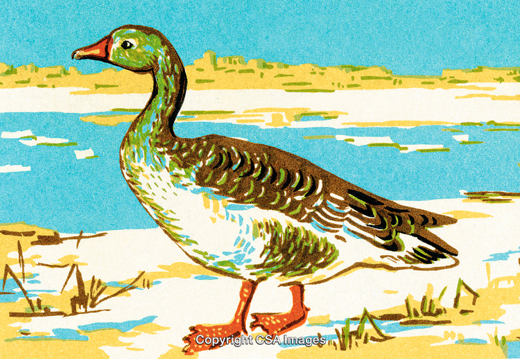 Illustrated Goose by a Scenic Water Area in a Bright Artistic Style