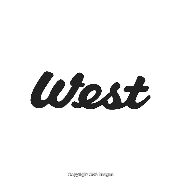 Modern Script Typography Displaying the Word 'West' on White Background