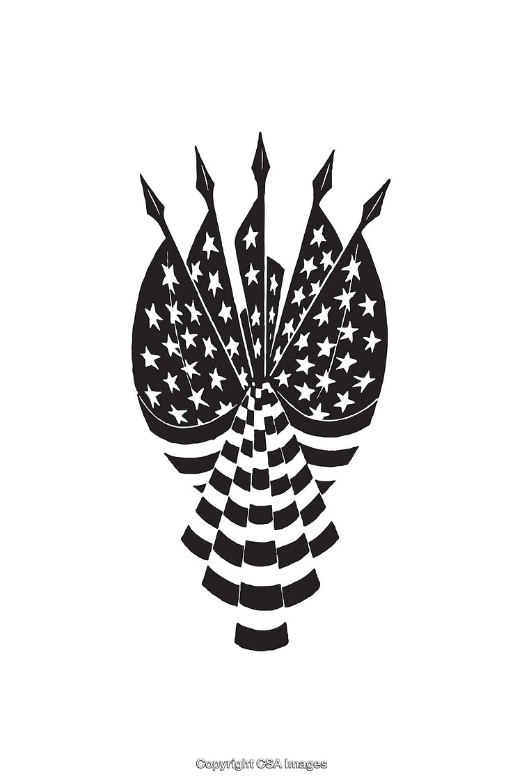 Abstract Black and White Artwork with American Flag Motif