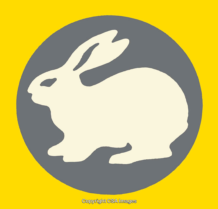 Color Illustration of a Rabbit Silhouette with Bright Yellow Background