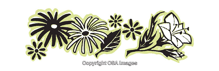 Floral Illustration Featuring Bold Flowers and Leaves with Artistic Design