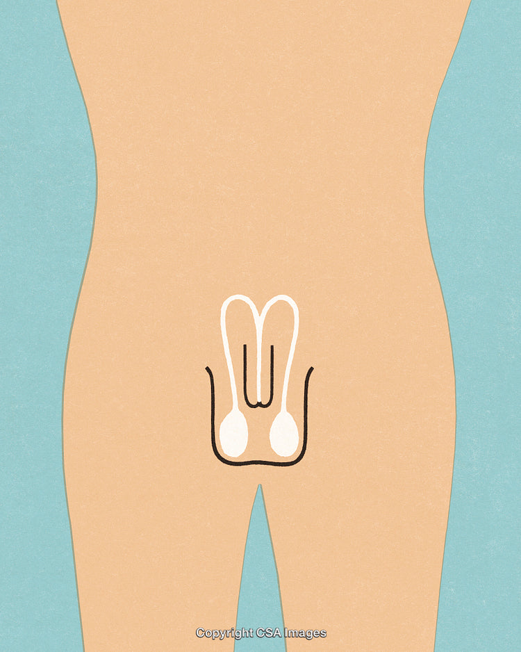 Abstract Illustration of Male Reproductive Organs Highlighting Anatomy and Physiology