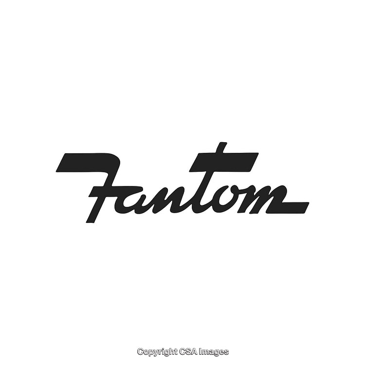 Stylish Handwritten Logo Design Featuring the Text 'Fantom' on White Background