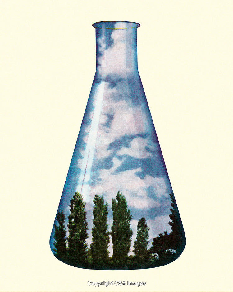 Tree Silhouettes Against a Sky Reflected in a Laboratory Flask