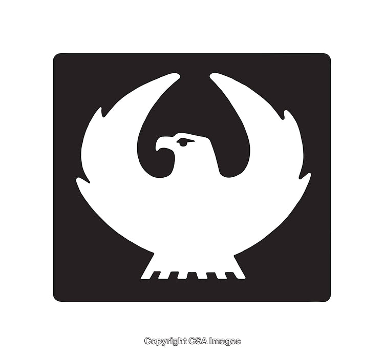 Monochrome Eagle Emblem Featuring Sleek Lines and Bold Details