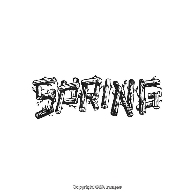 Rustic Spring Text With Branches and Twigs on a Clean White Background