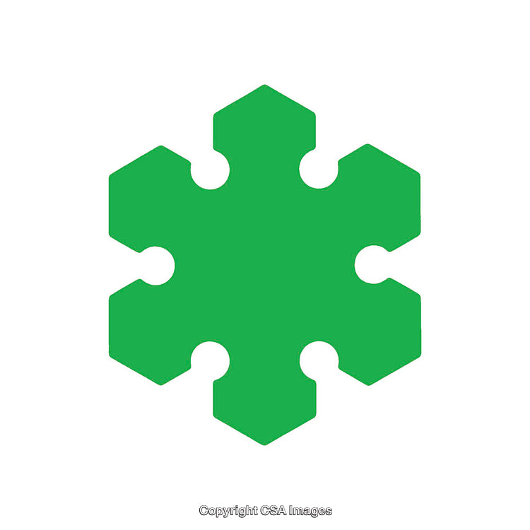 Green Snowflake Icon Symbolizing Connectivity and Unity on a White Background
