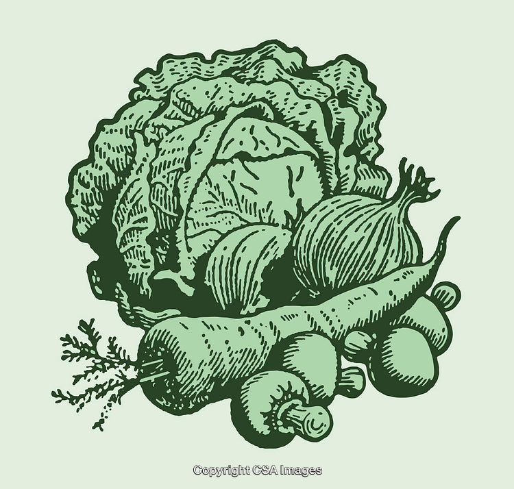 Vintage Line Art Illustration of Vegetables on Green Background
