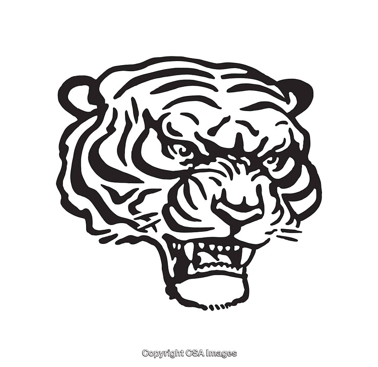 Fierce Tiger Head Black and White Line Art Illustration