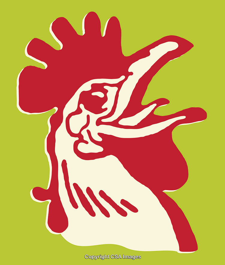 Bold Rooster Illustration in Abstract Style with Bright Colors on Green Background