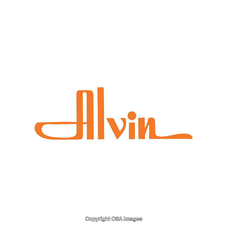 Stylized Orange Script Text Design on a White Background