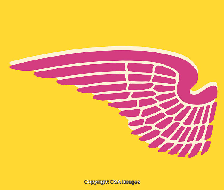 Colorful Abstract Wing Illustration on a Bright Yellow Background