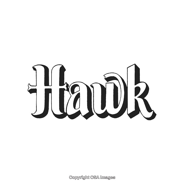 Stylized Black and White Typography Heralding the Text Hawk