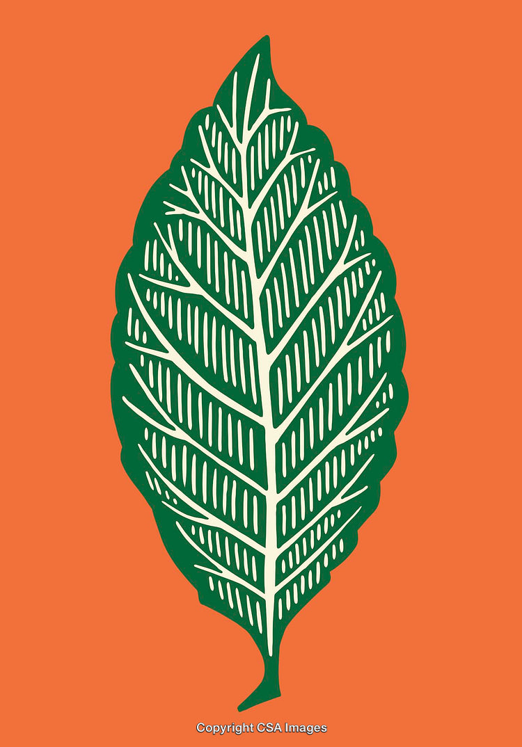 Green Leaf Line Art Illustration on Vibrant Orange Background