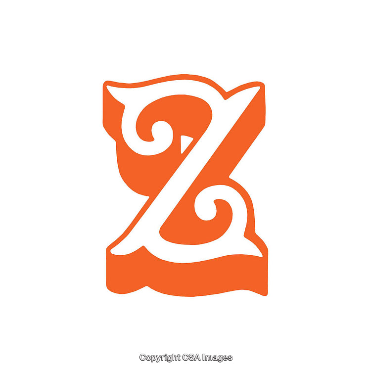 Ornate Orange Decorative Letter Z Design on a White Background