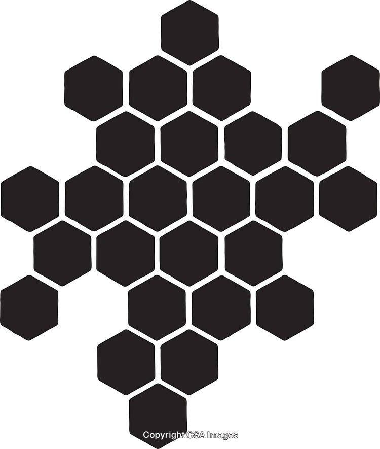 Black and White Hexagonal Pattern Design with Geometric Elements