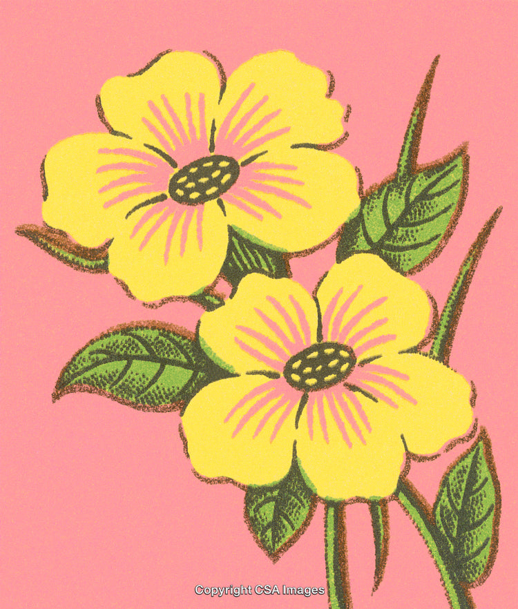 Yellow Illustrated Flowers on Pink Background with Green Leaves Decoration