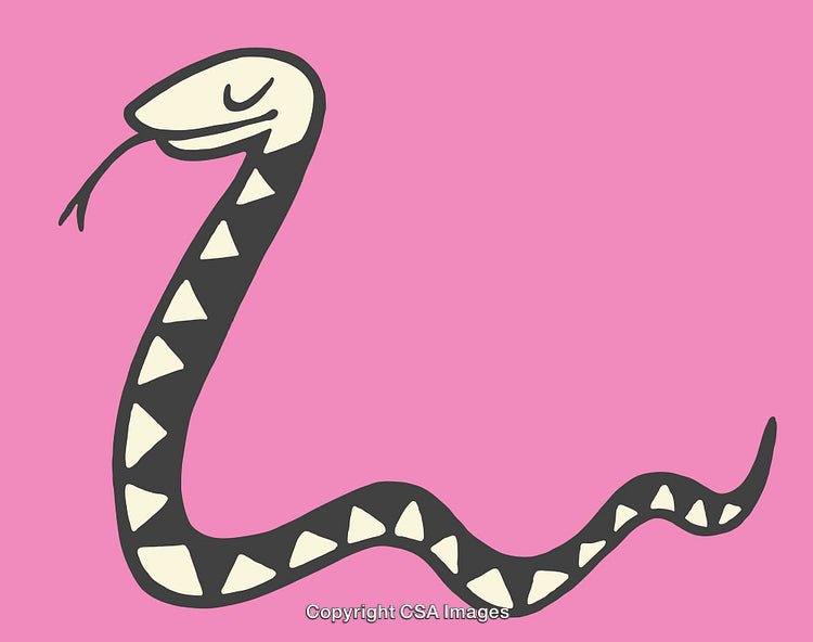 Cartoon Snake Illustration in Black and Cream on Pink Background