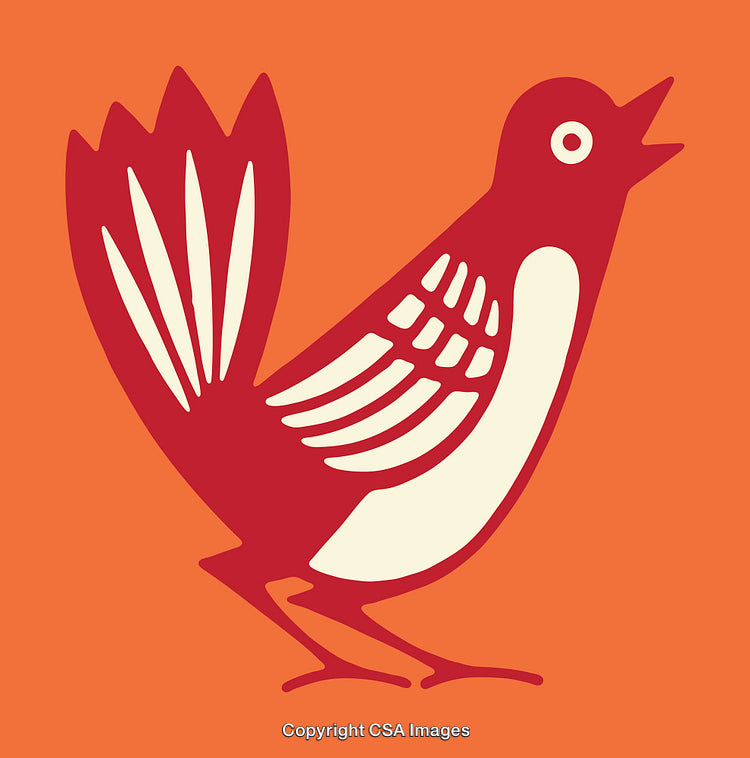 Red Bird Illustration Featuring Minimalist Design on Orange Background