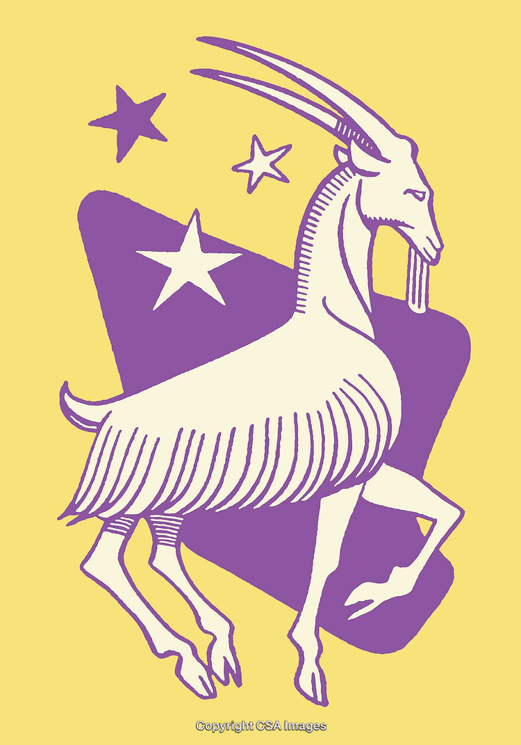 Color Line Art Illustration of a Goat and Stars on a Yellow Background