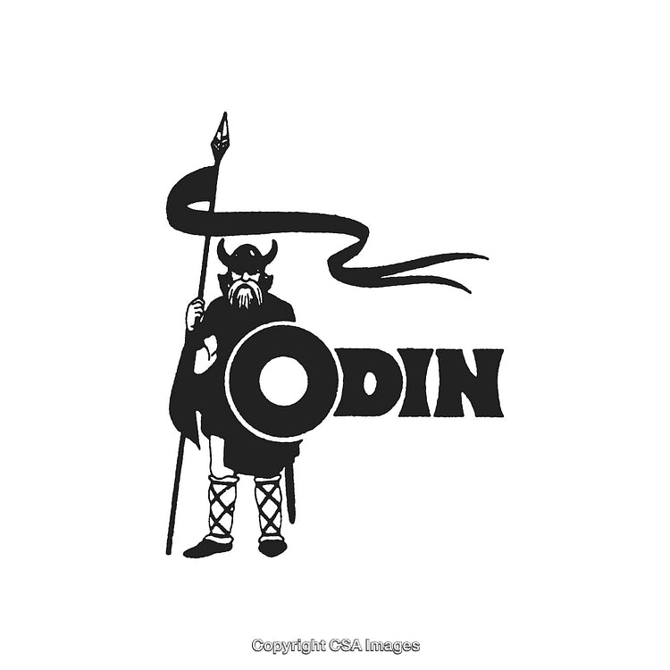 Nordic Warrior Holding Spear and Shield in Vintage Style Design