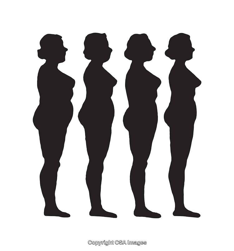 Progressive Silhouettes of Female Body Transformation Over Time
