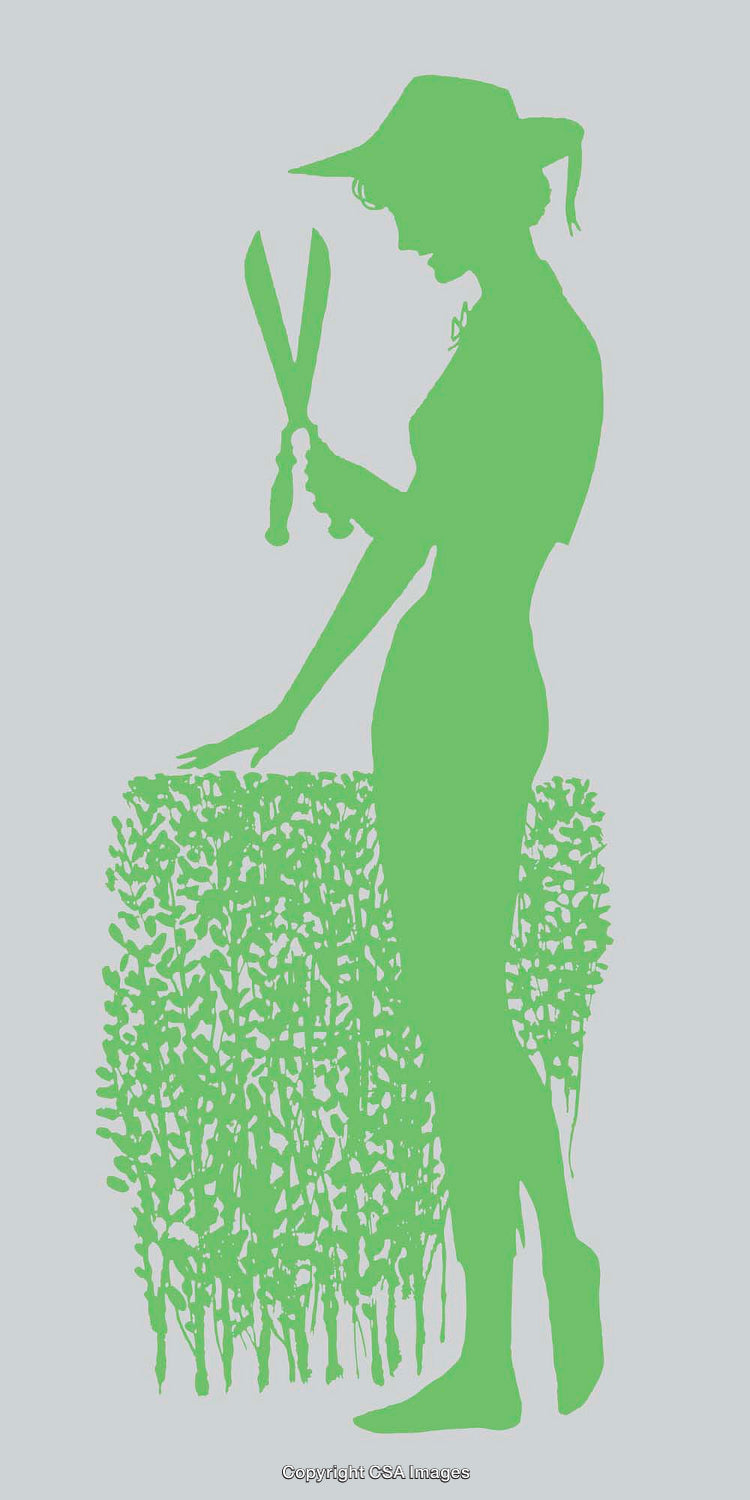 Gardener Silhouette Trimming Hedge with Shears Illustration in Green Tones