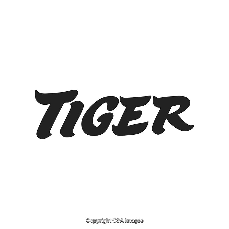 Bold Stylized Word 'Tiger' in Black Ink on a White Background