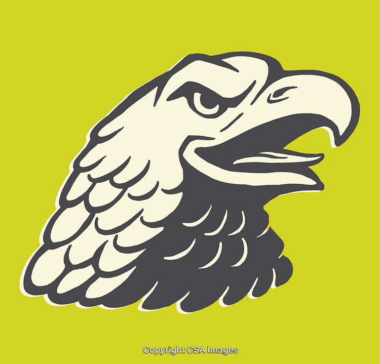 Stylized Bold Eagle Illustration with Vibrant Colors and Dynamic Expression