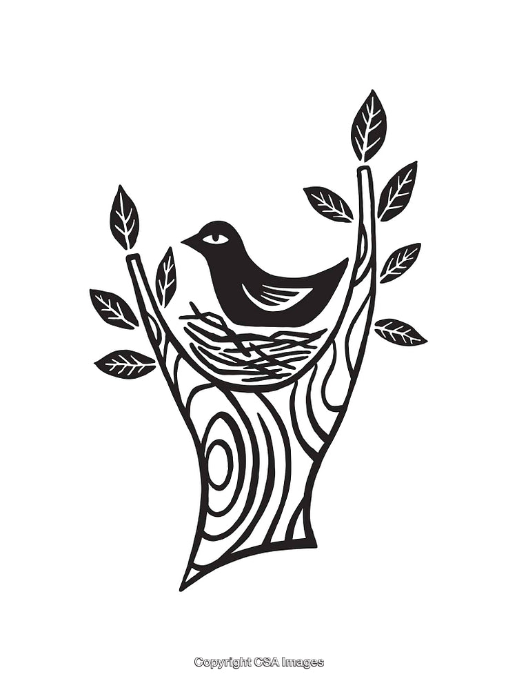 Black and White Line Art of a Bird in a Tree Nest