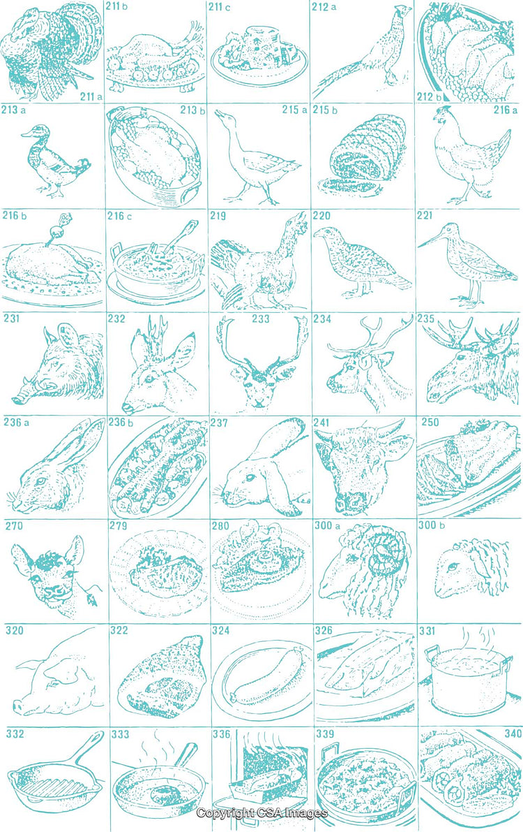 Illustrated Wild Animals and Prepared Dishes with One-Color Stylized Designs