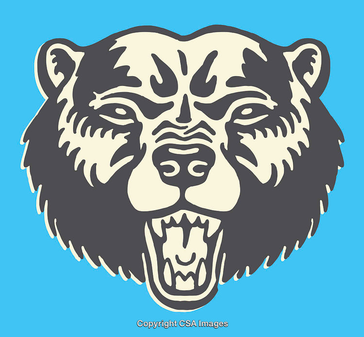 Ferocious Bear Head Illustration Depicted in Vibrant Colors on Blue Background