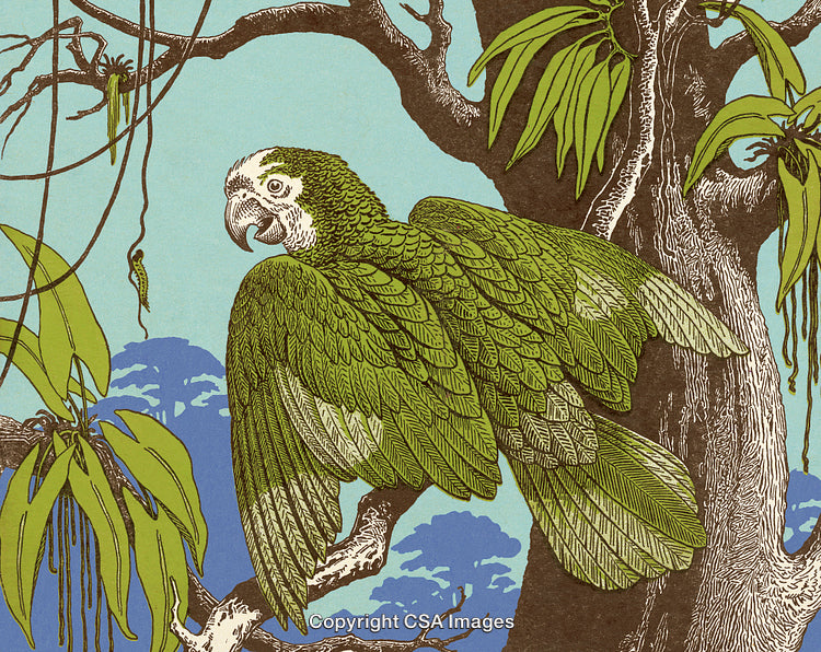 Vintage Artwork of a Green Parrot Perched in a Tropical Forest