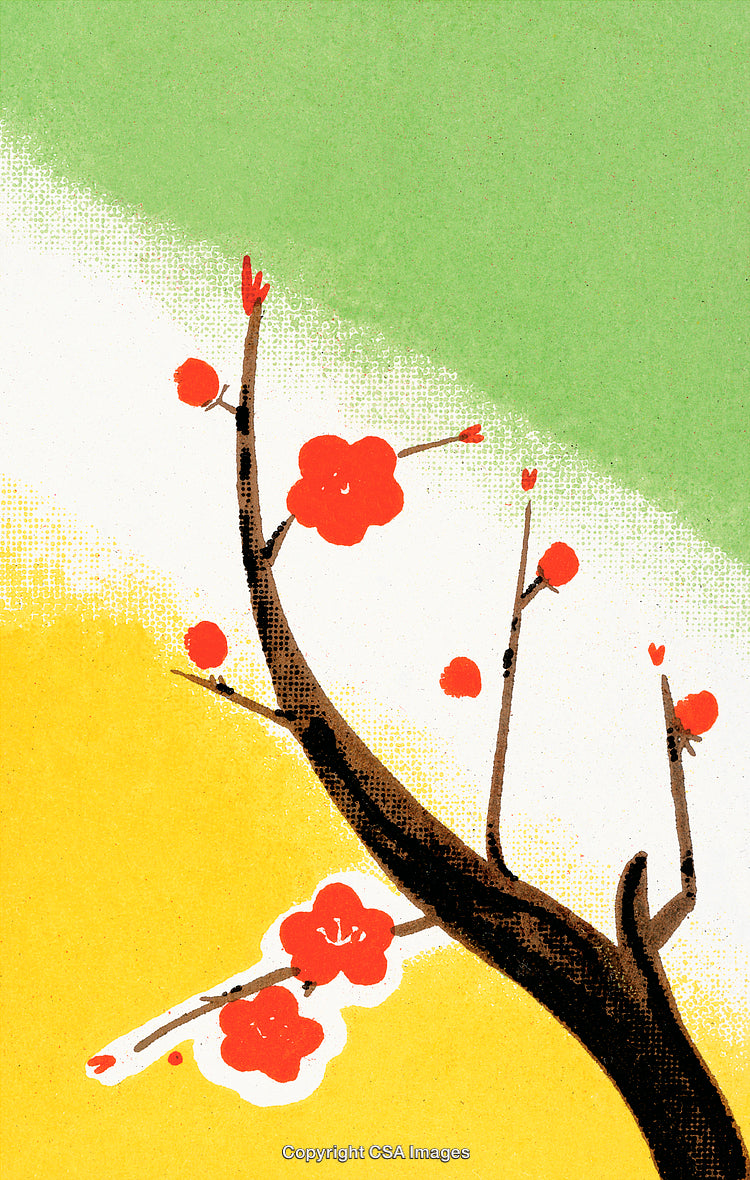 Artistic Painting of a Cherry Blossom Branching Against Colored Background