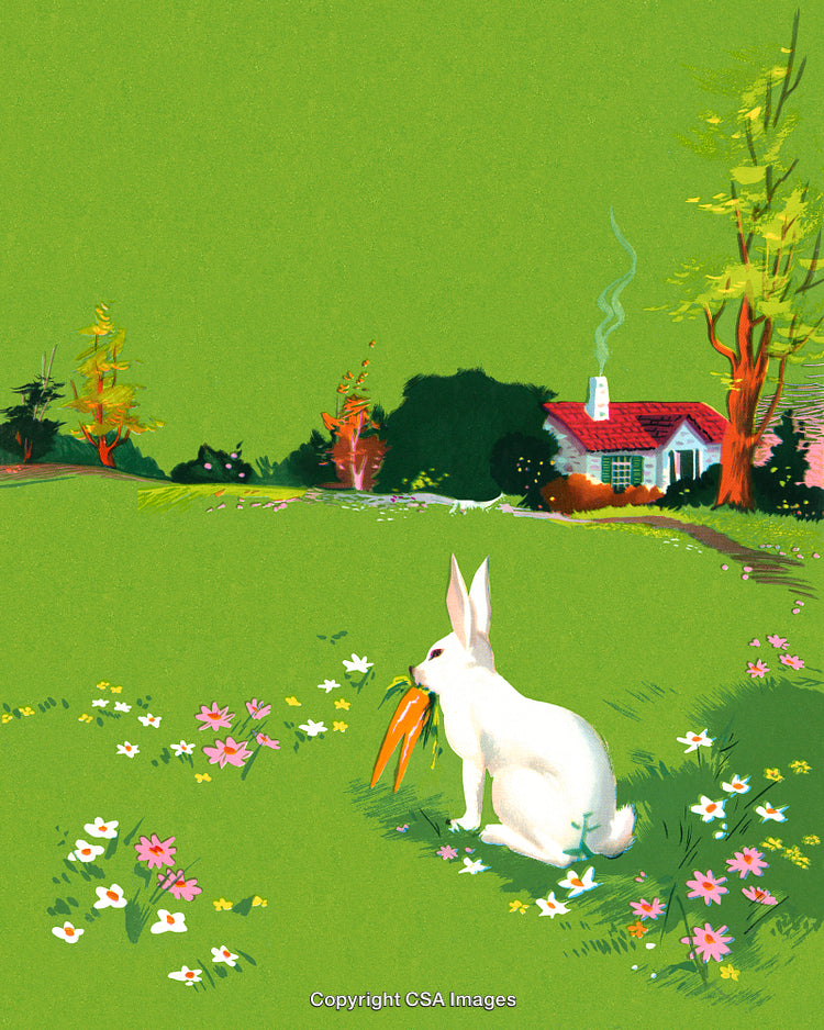 White Rabbit in Countryside Meadow Near a Cozy Cottage Holding a Carrot