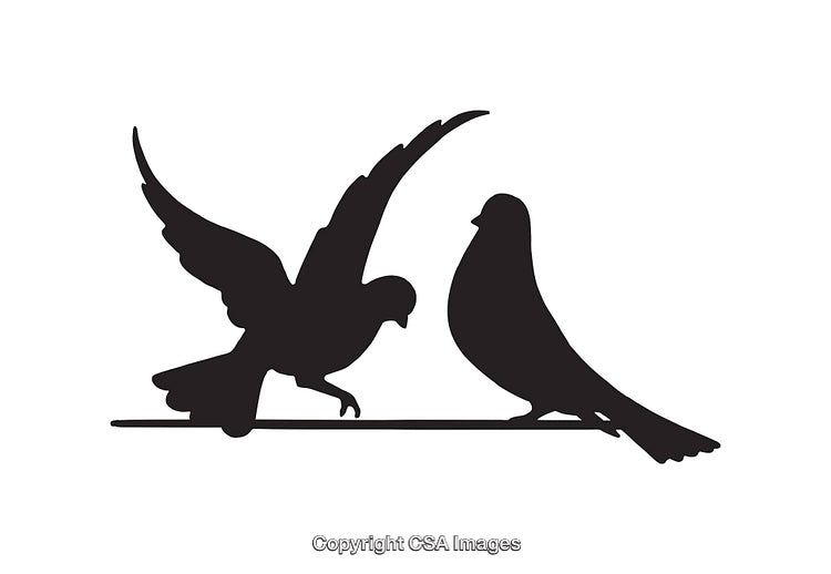 Silhouette Of Two Birds Perching On A Branch In Minimalist Display