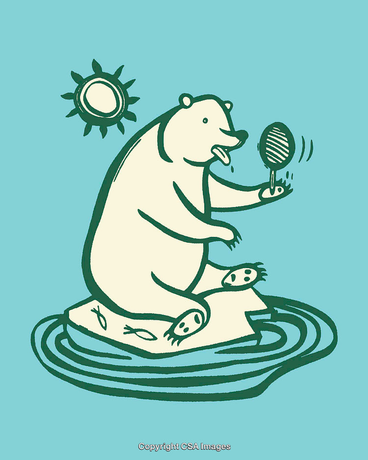 Polar Bear on Ice Floe Reacting to Warming Climate in Cartoon Illustration