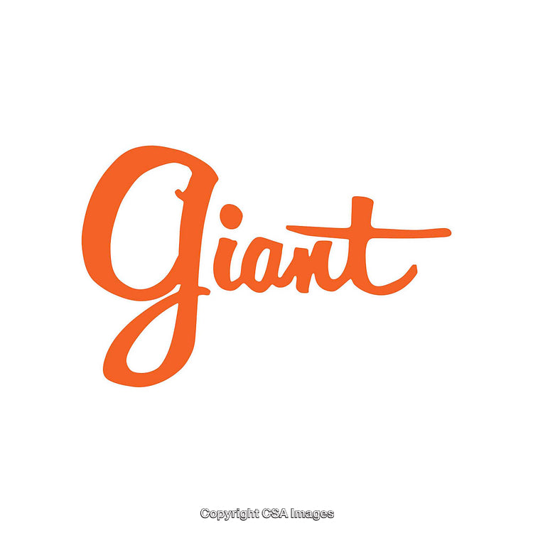 Orange Script Wordmark Featuring the Text 'Giant' in Bold Artistic Style