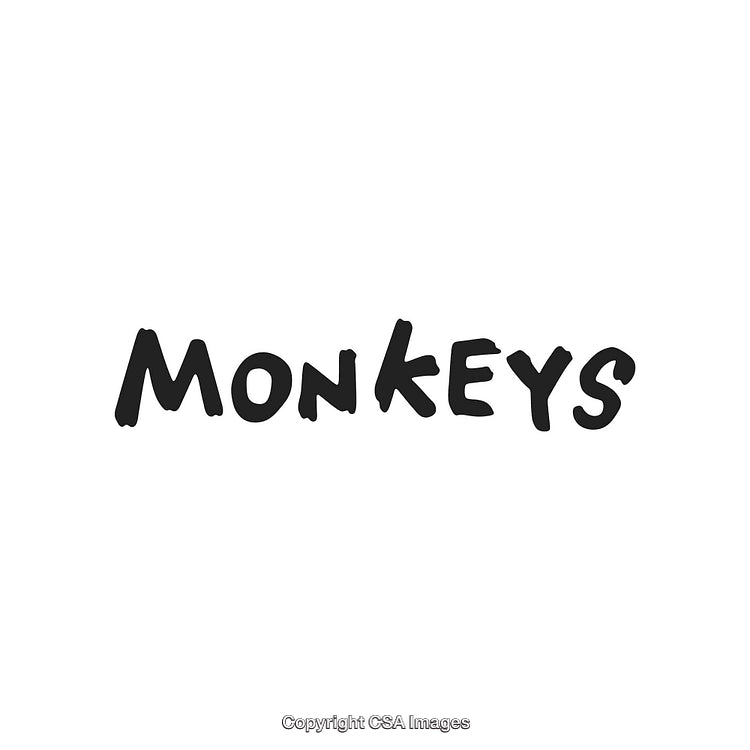 Handwritten Black Brush Script Illustrating the Word Monkeys on a White Background