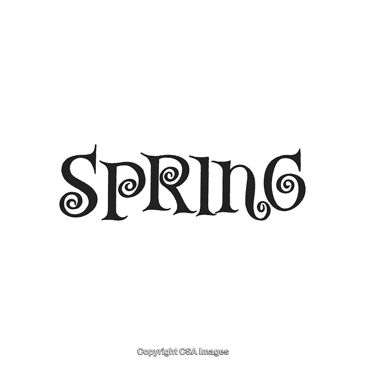 Stylized Black Lettering of the Word Spring Isolated on White Background